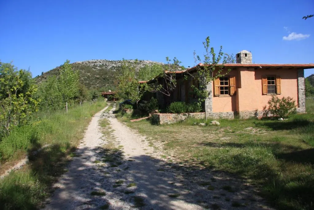 Gospodarstwo wiejskie Blacktree Farm And Cottages Fethiye