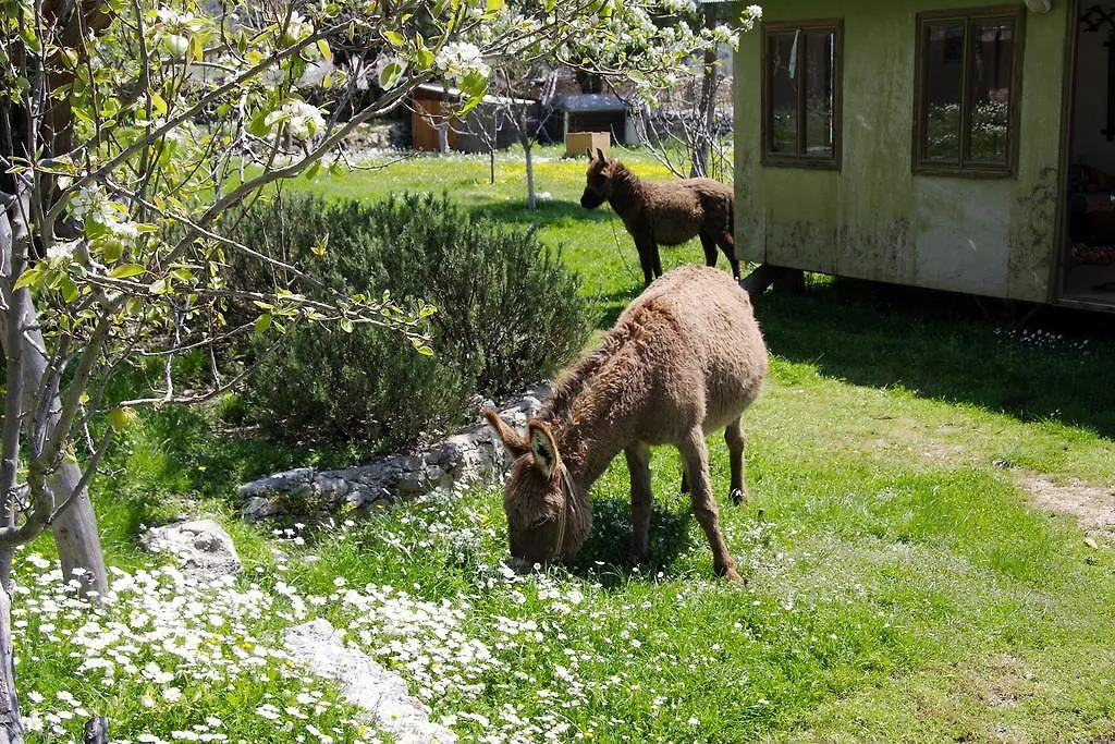 Blacktree Farm And Cottages Fethiye 0*,  Turcja