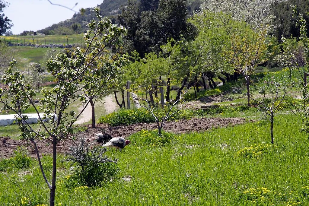 Blacktree Farm And Cottages Fethiye Turcja