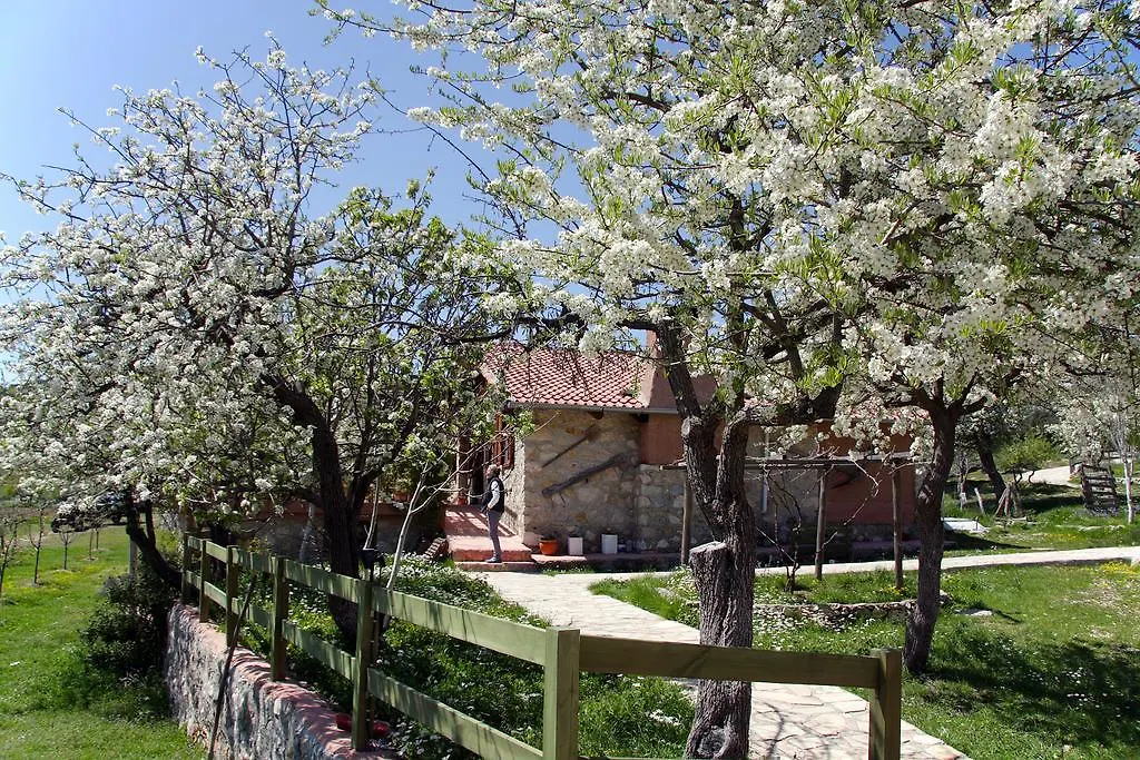 Blacktree Farm And Cottages Fethiye Gospodarstwo wiejskie