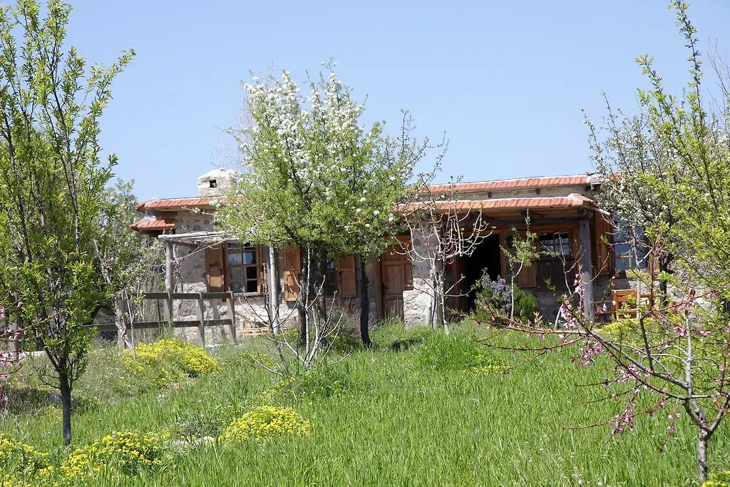 Blacktree Farm And Cottages Fethiye Turcja