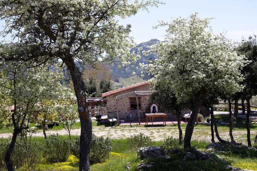 Blacktree Farm And Cottages Fethiye 0*,  Turcja